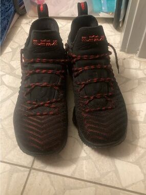 LeBron Fresh Bred 16,s (made by Nike)